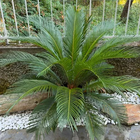The Tigullio Oasis - With Private Parking Apartament