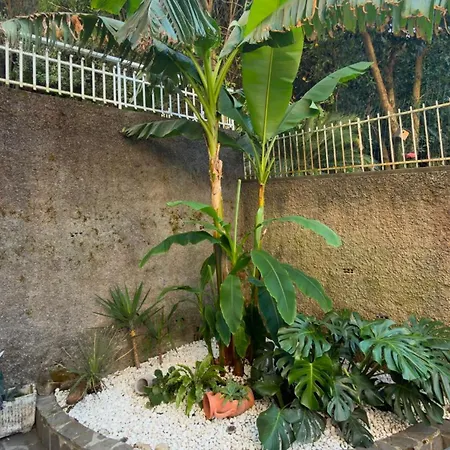 Apartament The Tigullio Oasis - With Private Parking Rapallo